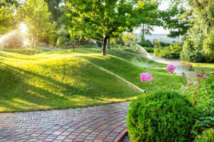 landscaped yard Landscape services in Florida